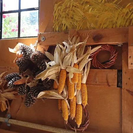 דירה Parkblick Mit 3 Schlafzimmern Buschenhagen