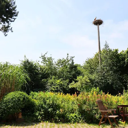 Parkblick Mit 3 Schlafzimmern דירה